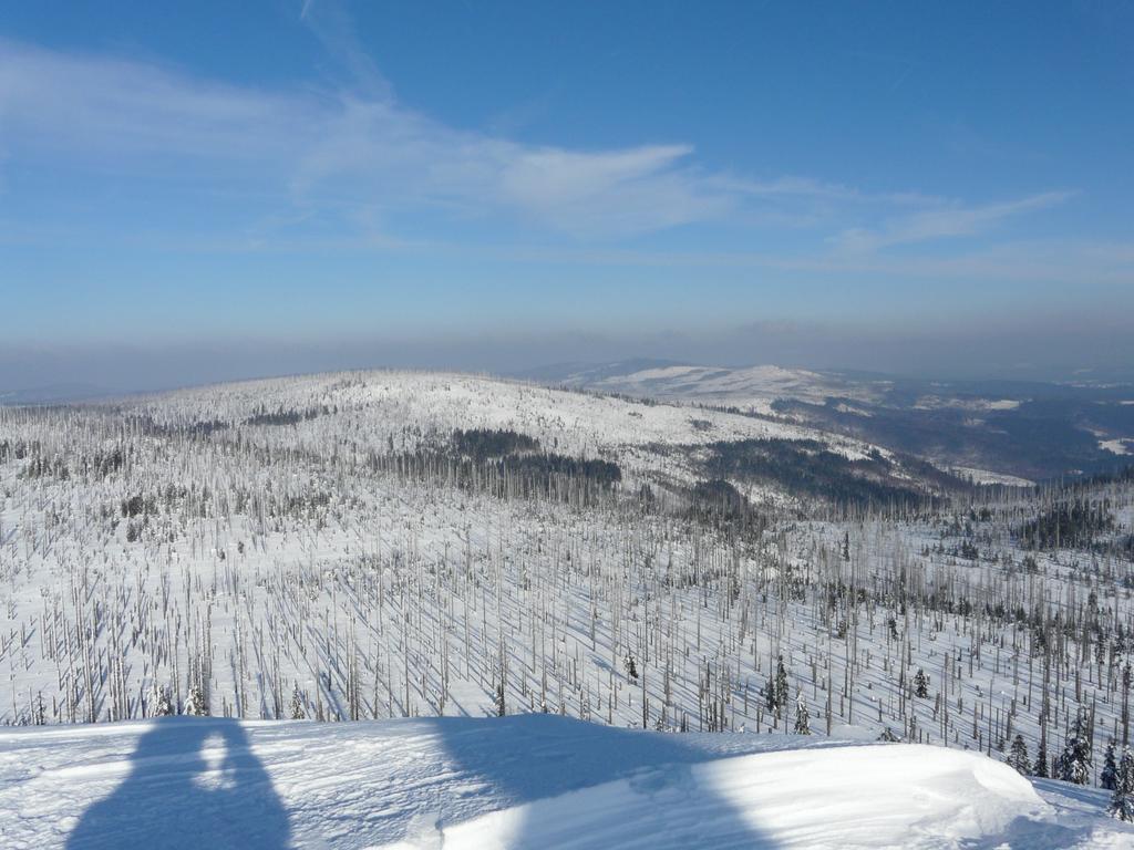 Pension Fernblick Санкт-Освальд Экстерьер фото